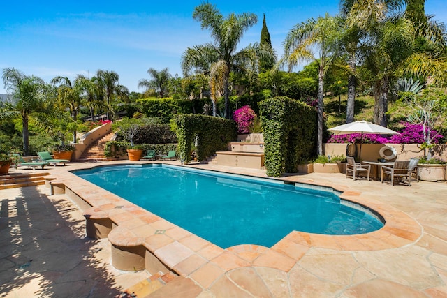 view of swimming pool featuring a patio area