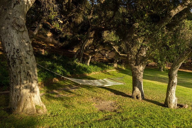 view of property's community featuring a yard