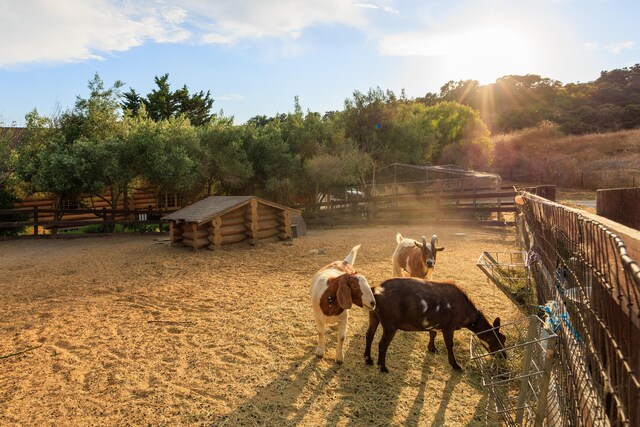 view of yard featuring a rural view