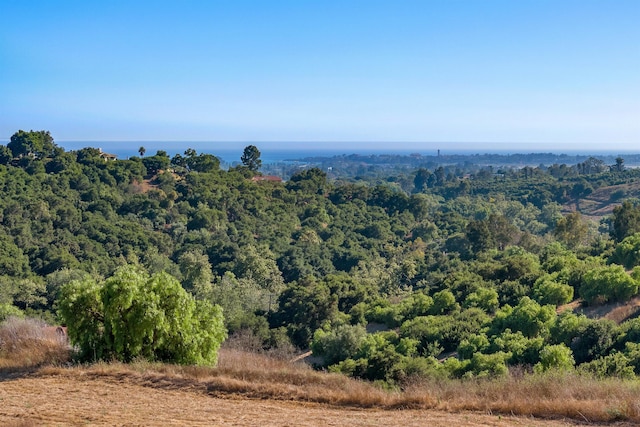 bird's eye view with a wooded view