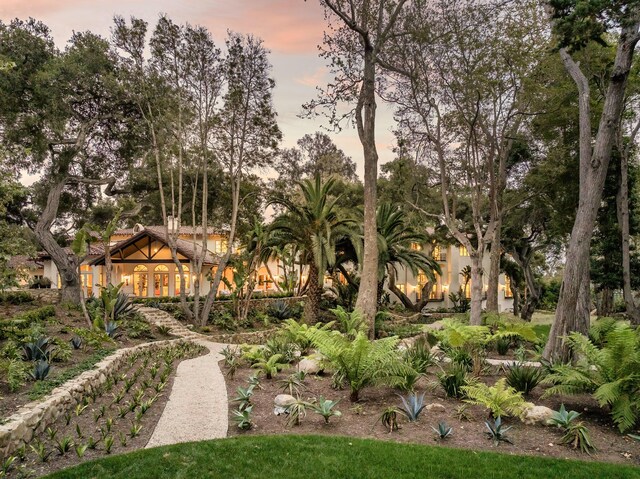 view of yard at dusk