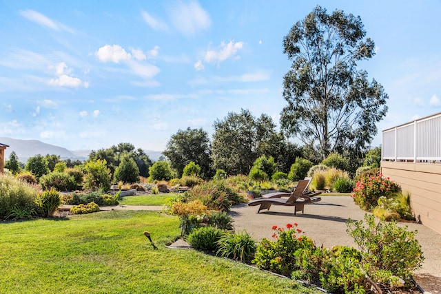 view of yard featuring a mountain view