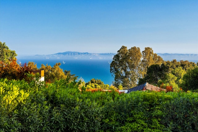 view of water feature featuring a mountain view