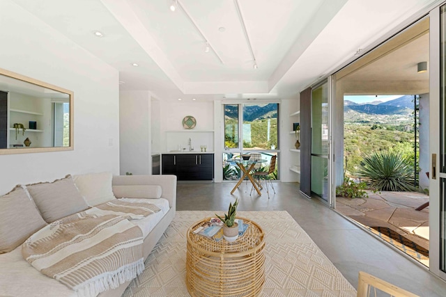 living room featuring a raised ceiling and sink