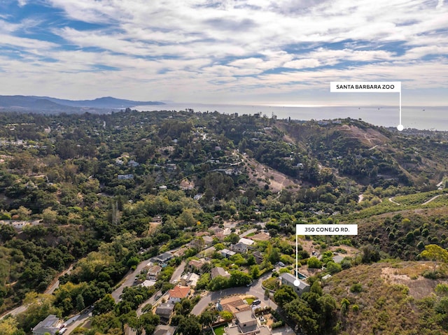 drone / aerial view featuring a mountain view