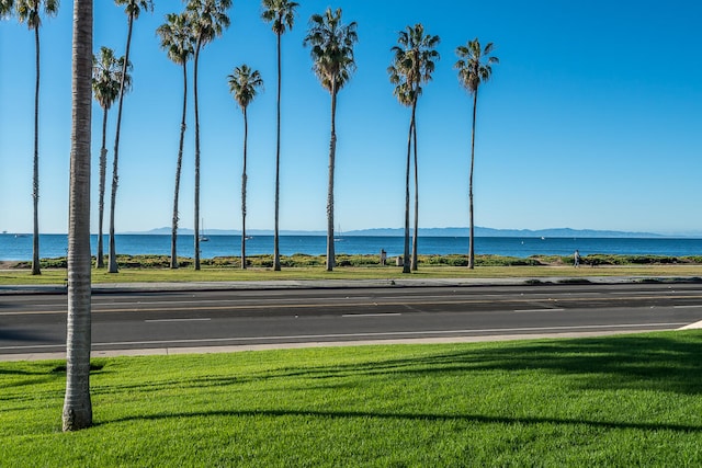 water view featuring a mountain view