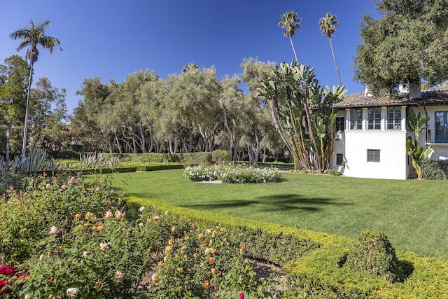 2925 Sycamore Canyon Rd, Montecito, CA 93108 - view of yard