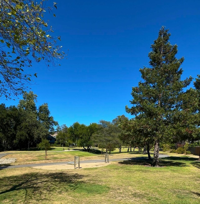 view of community with a lawn