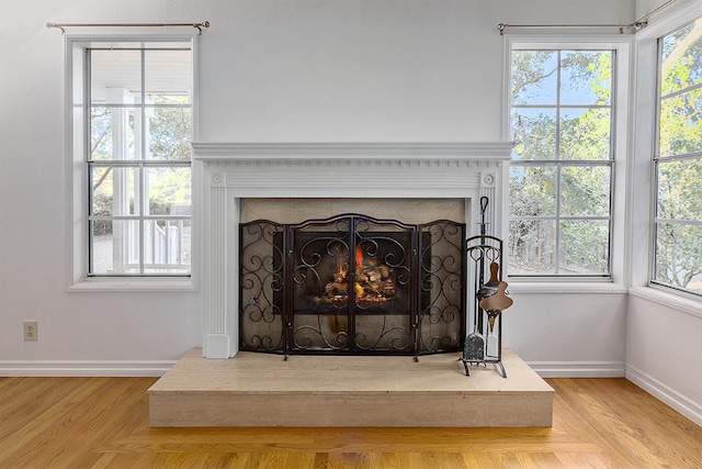 room details with hardwood / wood-style floors