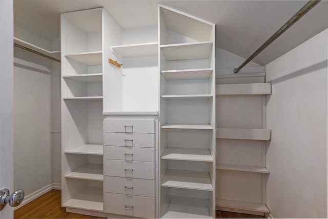 spacious closet with wood-type flooring