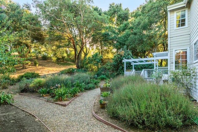 view of yard featuring a pergola