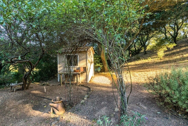 view of yard featuring a storage shed