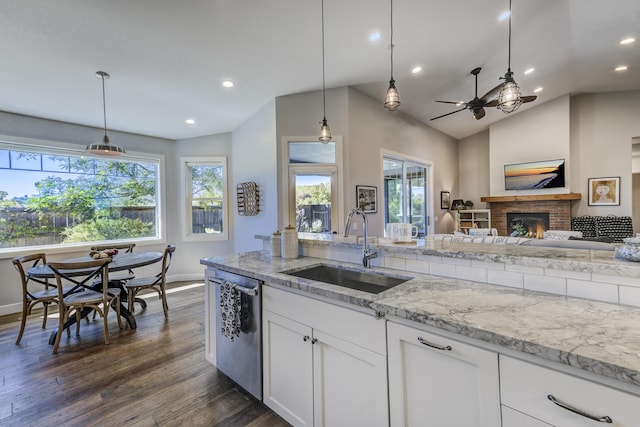 kitchen with plenty of natural light, dark wood-style floors, a sink, a fireplace, and stainless steel dishwasher