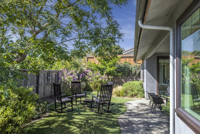 view of yard with a patio area and a fenced backyard