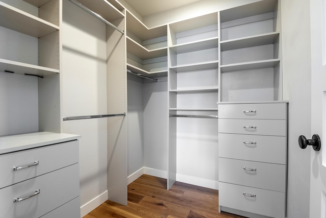 walk in closet with dark wood-type flooring