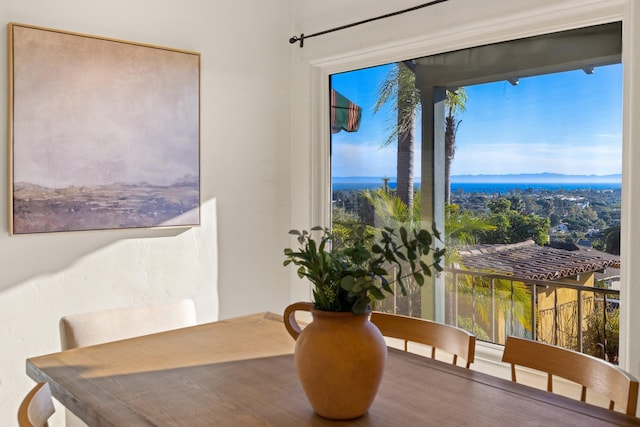 dining space featuring a healthy amount of sunlight and a water view