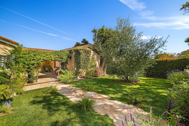 3050 Serena Rd, Santa Barbara, CA 93105 - view of yard featuring a patio area