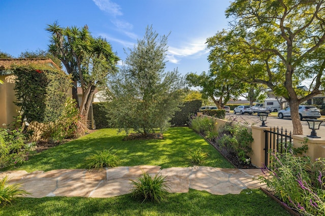 3050 Serena Rd, Santa Barbara, CA 93105 - view of yard with fence private yard