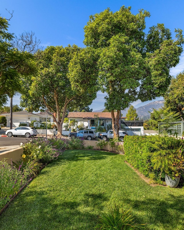 3050 Serena Rd, Santa Barbara, CA 93105 - view of yard