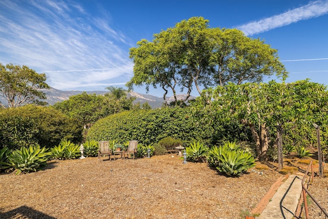 3050 Serena Rd, Santa Barbara, CA 93105 - view of yard featuring a mountain view