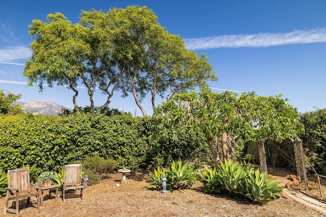 3050 Serena Rd, Santa Barbara, CA 93105 - view of yard with a mountain view