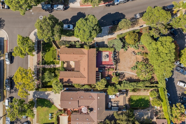 3050 Serena Rd, Santa Barbara, CA 93105 - drone / aerial view