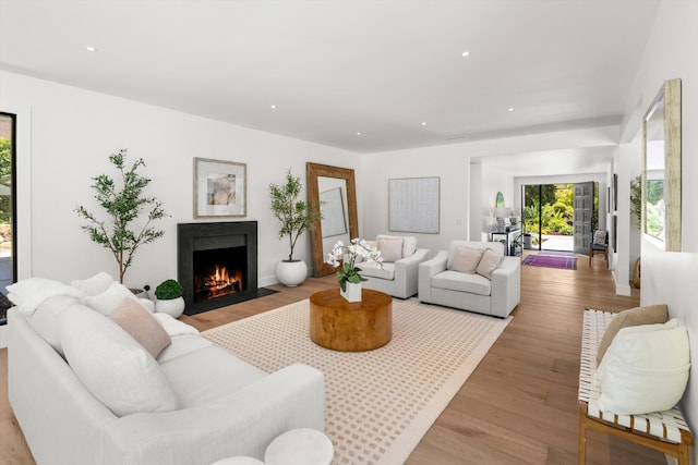 living room with light hardwood / wood-style flooring