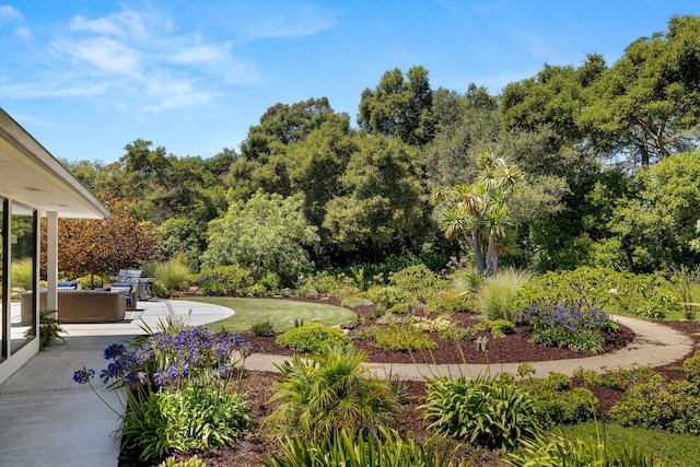 view of yard featuring outdoor lounge area and a patio area