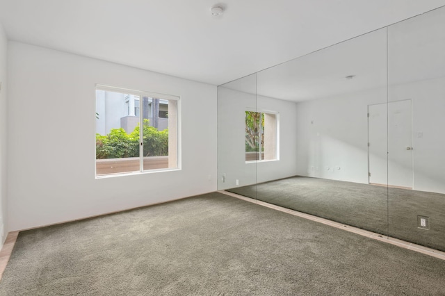 carpeted spare room with plenty of natural light