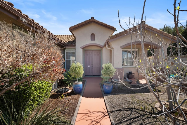 view of exterior entry with stucco siding and a tiled roof