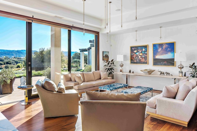 living room featuring a mountain view and hardwood / wood-style floors