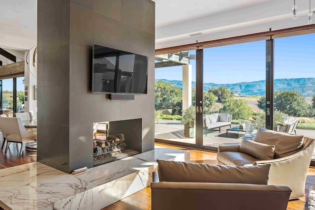 living room with a multi sided fireplace and light hardwood / wood-style floors