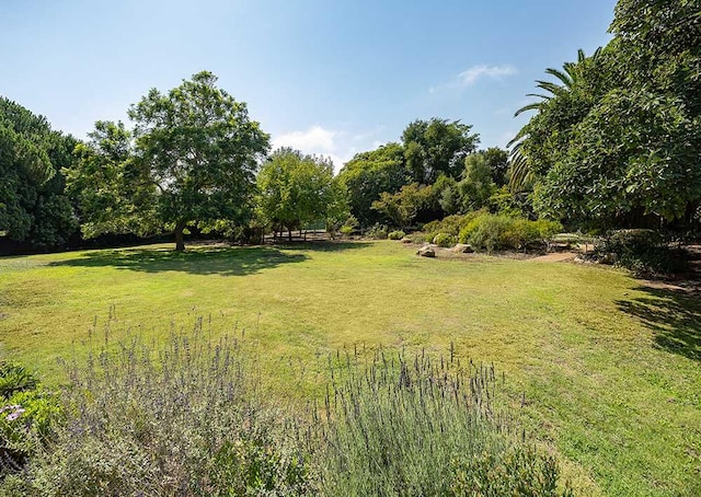 view of yard with a rural view