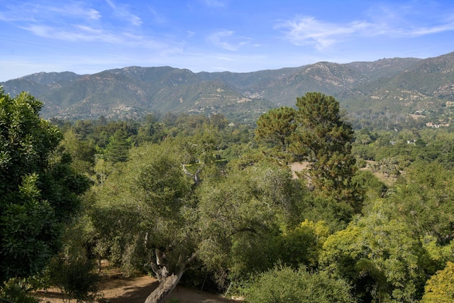 939 Arcady Rd, Santa Barbara, CA 93108 - photo 18