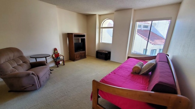 living area with a textured ceiling and light colored carpet