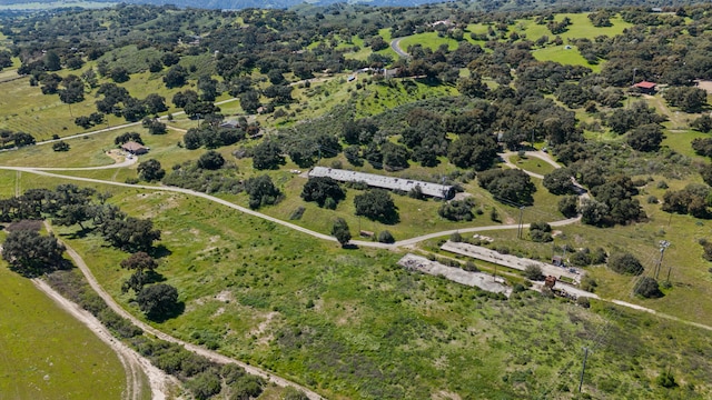 drone / aerial view featuring a rural view