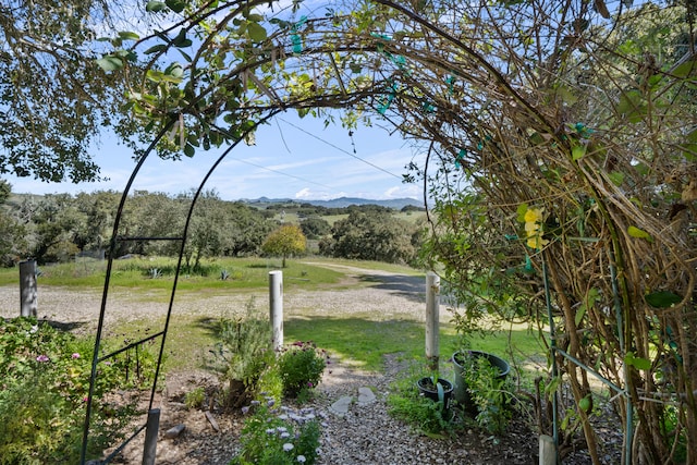 view of yard with a mountain view