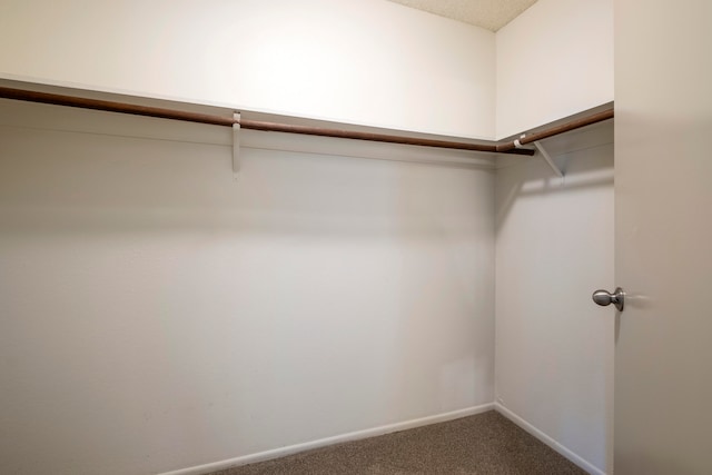 spacious closet with carpet flooring