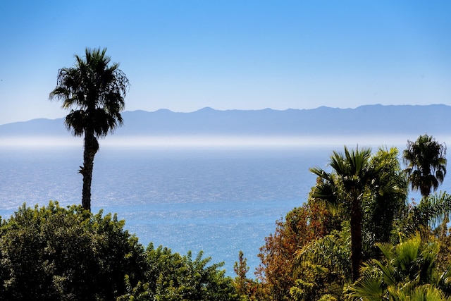 property view of water featuring a mountain view