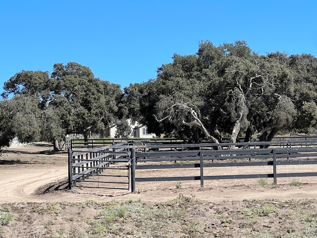 view of yard featuring a rural view