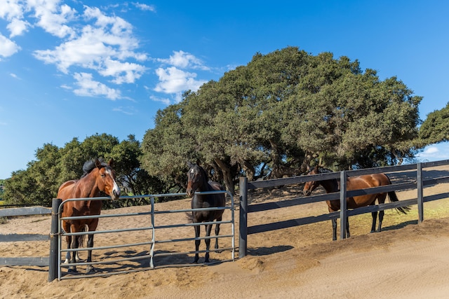 view of horse barn featuring a rural view