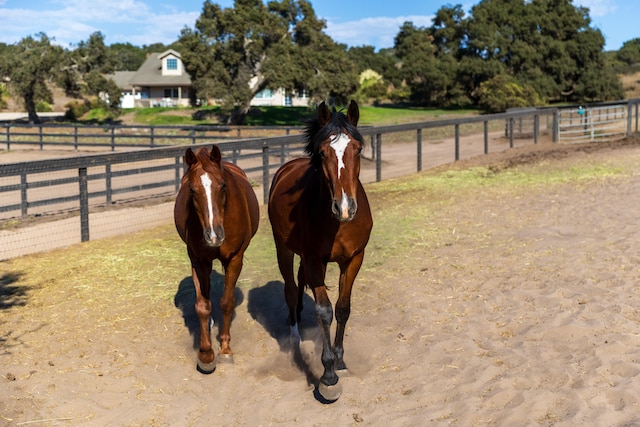 view of stable featuring a rural view