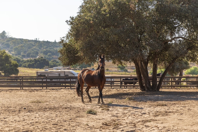 view of horse barn with a rural view