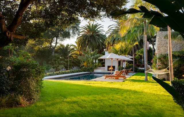 view of swimming pool with a patio and a lawn