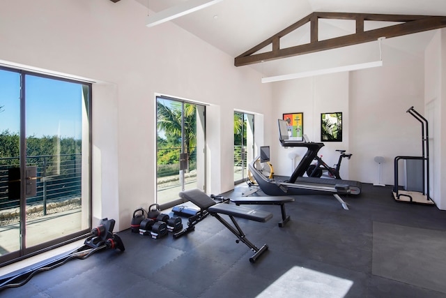 exercise room featuring high vaulted ceiling