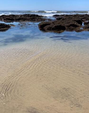 view of water feature with a beach view