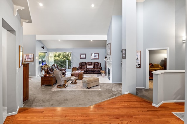 living room with light hardwood / wood-style floors and a towering ceiling