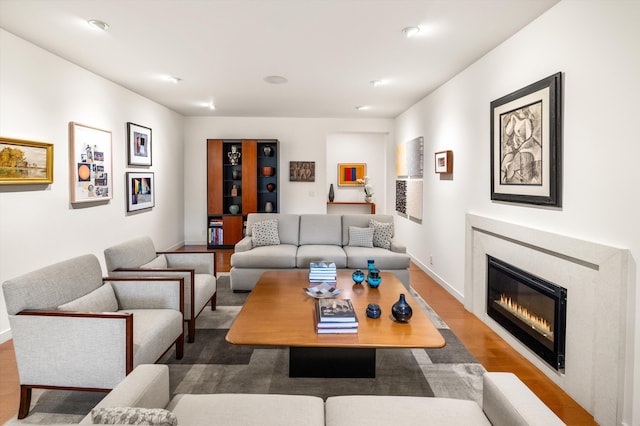 living area featuring baseboards, wood finished floors, and a glass covered fireplace