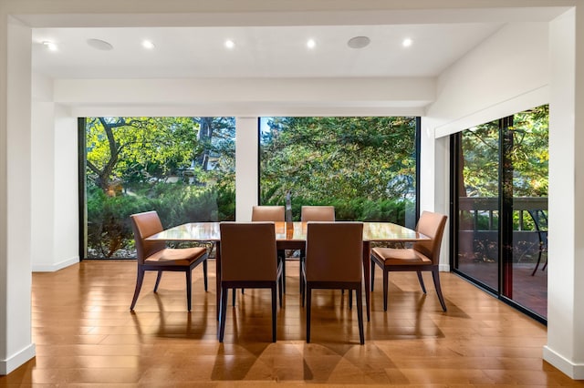 dining room featuring baseboards, wood finished floors, and recessed lighting