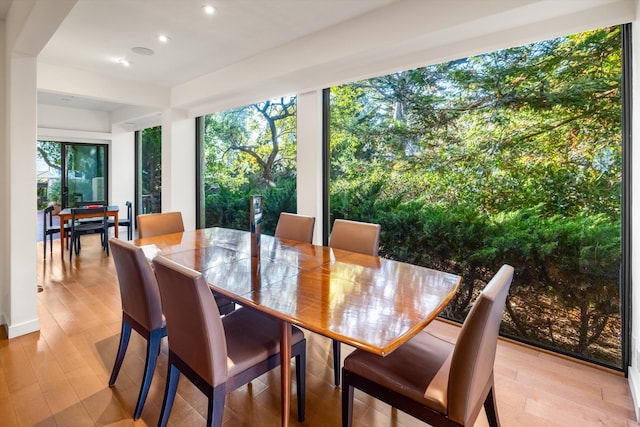 dining room featuring a wealth of natural light and light wood-type flooring